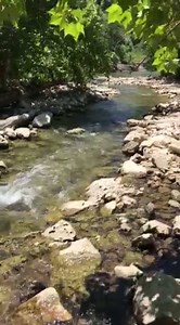 2K views | Paradise Canyon on Reels | Facebook