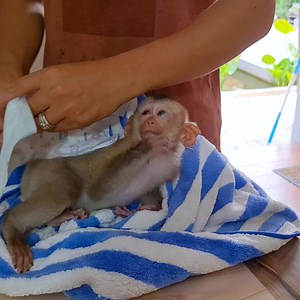 21K views · 638 reactions | Routine morning Riki for Milk  Part 17 | LuLu Family | Facebook