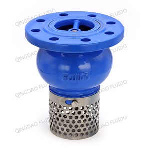 [Hot Item] Flanged Foot Valve with Strainer