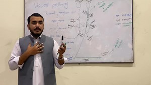 Argyll Robertson pupil. | Muhammad Ismail