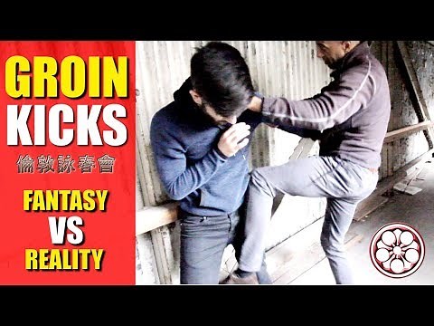 KICK to the BALLS!!!? Do Groin Kicks REALLY Work in Street Fights?