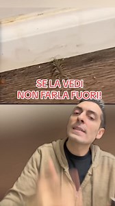 748K views · 10K reactions | Ricordo di aver visto una sola volta la scutigera in vita mia…. Voi ne avete mai viste? Sono anche molto carine e poi io amo i millepiedi! #nathanfg #curiosita #cosechenonsai #cosechenonsapevi #curiosità | Nathan.Fg | Facebook