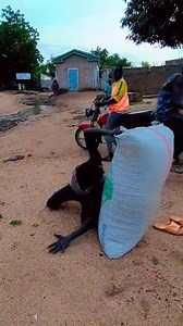 436K views · 14K reactions | Bahu bali. | Najeev Maikotu Usman | Facebook