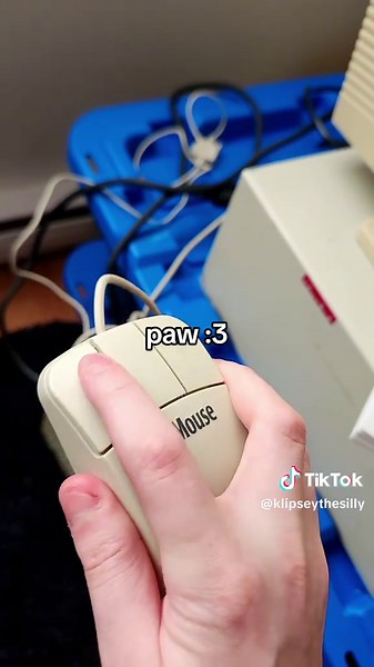 Understanding Objectum Sexuality: Validating Attraction