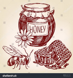 Honey Elements Set Hand Drawn Vector: vector de stock (libre de regalías) 483311662 | Shutterstock