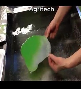 OMG. Fake Cabbage, Fake Eggs - Have You Ever Seen | Factory Worker | Facebook