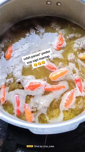 @Lina_cake on TikTok