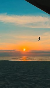 Happy 2025! Wishing you a fantastic year ahead filled with positivity and bliss 🤝✨ How did you spend the first day of the new year? One way to do it is a walk in the beach to see the sunrise or sunset ☀️🫶 Will you do this someday soon if you haven’t yet? #MiamiBeach #FindYourWave (via/IG kameron.brothers) City of Miami Beach Government #sunrise #sunset #newyear #happy #radiant #bright #special #paradise #daylight #dawn #dusk | Visit Miami