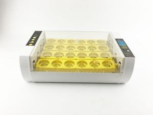 [Hot Item] Hhd High Effective Cost Hatching Egg Incubator Without Light Yz-24A