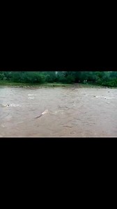 25K views · 263 reactions | Ninfa Sanchez Gonzalez on Reels | Facebook