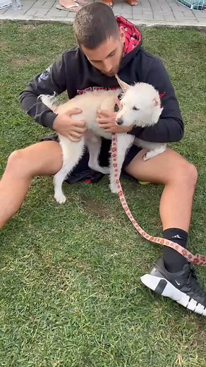 Billy é o cãozinho mais meigo desse mundo. Ele ama a vida, ama brincar, ama dar carinho. Mesmo depois de tanto sofrimento, Billy continua sendo pura alegria. É feliz, mesmo sem nunca ter conhecido, de verdade, o que é felicidade. Está castrado, vacinado e pronto para finalmente descobrir o que é o amor de uma família. Se vc quiser adota lo ou lar temporário para conhece lo melhor, mande uma mensagem para ong. | Indefesos