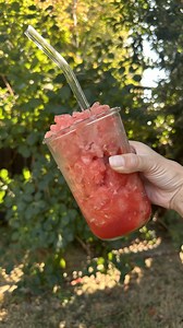 Easy Watermelon Slushie | Plant-Based on a Budget
