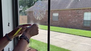 Window Decals to Prevent Birds Strikes, DELLAN 39 Anti-Collision Rainbow Window Clings, Bird Deflectors Stickers for Glass Windows (RingStarRound)