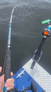 Check out my signature Big Cat Fever rod series now at @Catch The Fever! Don’t forget to use code Zakk10 for a discount on anything on the website! #zrbigcatfeverrods #bigcatfever #catchthefever #zrbcfrods #drycreekmarine #alphaboardz #fishusa #catfish #catfishing #fishing #Outdoors #lakegaston #lkg #bluesbrothersguideservice Zakk Royce | Catch The Fever