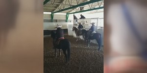 Boone County Board puts temporary ban on rodeos