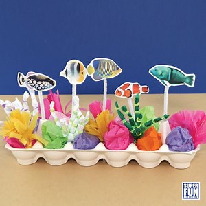 Oeufs en carton pour récifs - Etsy France