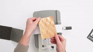 Sizzix 3-D Impresslits Embossing Folder-Poinsettia by Kath Breen, 665354, One Size, Multicolor