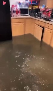 Dearborn flooding, (Orchard street and Ford Road) (Video credit: Jamal Bazzi) | DEARBORN AREA COMMUNITY MEMBERS