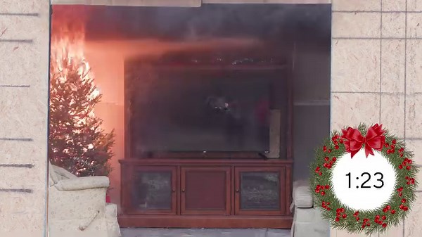 Don’t let a fire emergency ruin your holiday season. Even a small...