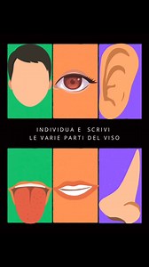1.5K views | Individua e scrivi le varie parti del viso | Io e te impariamo insieme | Facebook