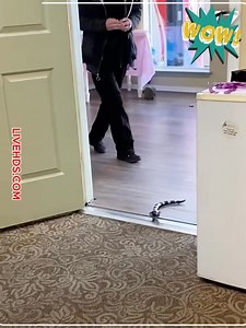 3.5K views · 45 reactions | Fake Snake, Real Screams | Movies Action | Facebook