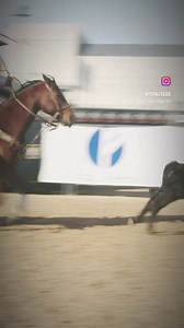 11 reactions | Q. What will Total Equine® do for a horse with thin hoof walls? A: The hoof walls can double its natural growth speed. It generally thickens and softens the hoof making it more resilient to splitting and better able to hold a nail. | Total Feeds, Inc. | Facebook