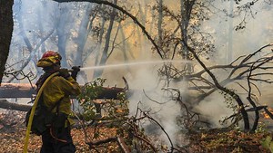 What can be done to control wildfires?