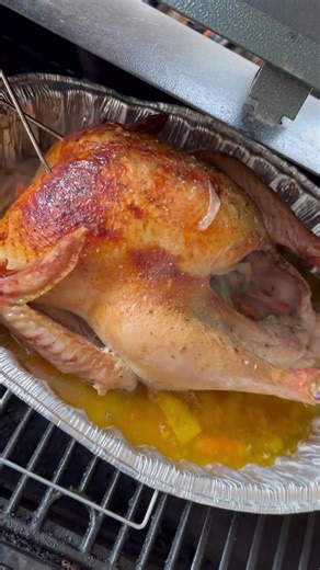 15K views · 822 reactions | Maple Motors on Reels | Facebook