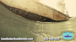 We are excited to welcome Sand Dollar Boat Rentals & Water Sports of...