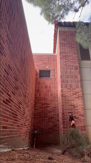 Strength training #climbing #parkour #movement #training #extreme #stunt #climber #calisthenics | Mathieu Jang