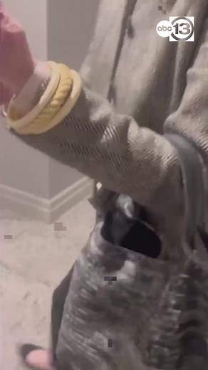 An Amazon delivery woman says she was harassed at a residential building in River Oaks while trying to do her job, and it was all caught on camera. ABC13 is blurring the residents' faces because charges have not been filed. Read more here: https://abc13.com/14232326/ | ABC13 Houston