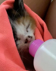 Eleena Harris on Reels | Facebook