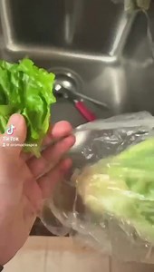 Breakfast! | Oromocto and Area SPCA