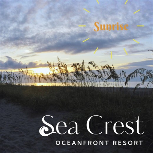 The sunrises here at Sea Crest Oceanfront Resort never disappoint! ⛱🌊🌞 #SeaCrest #SeaCrestResort #MyrtleBeach #GrandStrand #MyrtleBeachSC #Vacation #Beach #BeachVacation #SeaCrestMB | Sea Crest Myrtle Beach
