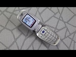 Samsung SGH-X640 Incoming Call