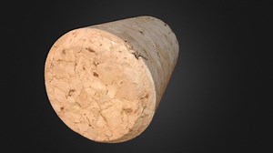 Cork stopper - 3D model by ArcheoTech3D