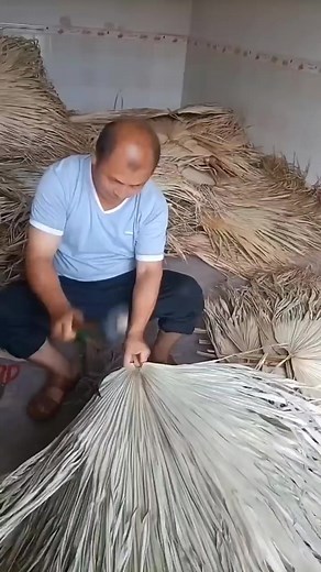 118K views · 333 reactions | Hand Made Palm Leaf Fan  Natural #fypシ゚viralシ | Gardening Idea | Facebook