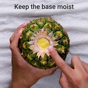 2M views · 5.7K reactions | Try these no-fail kitchen tips! | MetDaan Creative | Facebook