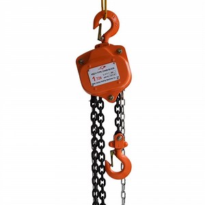 [Hot Item] Heavy-Duty Chain Pulley Block Hoist for Industrial Use