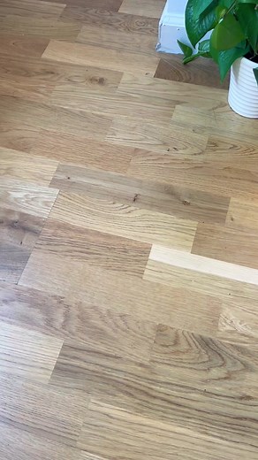 20K views · 3.4K reactions | Seeing is believing. The Menstruation Crustacean CRAB is here 呂 Here's the link to get it on Amazon  https://amzn.to/45bJtye | What Do You Meme? | Facebook