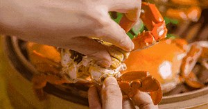 Bà bầu ăn cua có bị sảy thai hay không? Câu trả lời khiến nhiều người bất ngờ