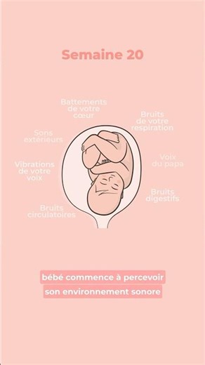 Le développement de bébé à 5 mois de grossesse 👶 #grossesse