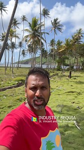 41K views · 166 reactions | Exploring the Charms of Spring and Industry Bequia | Travel Vlog  #stvincentandthegrenadines #bequia #bequiaisland #greandines #caribbean #nature #outdoors #vlog #vincy | Kemron Lindon Bacchus | Facebook