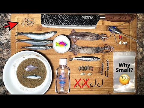 10 SURF FISHING TIPS (BAIT HACKS)