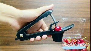 Amazon.com: AUIIKIY Cherry Pitter Tool, Olive Pitter Tool,Black: Home & Kitchen