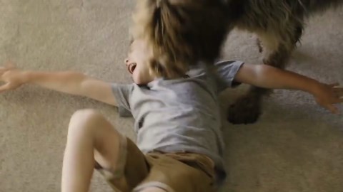 Lucky Dog Euro Style 6 ft. H x 4 ft. W Black Metal Welded Wire Kennel Fence Panel with Gate in Gate CL 28462