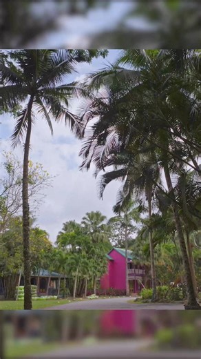 Jamaican float trip, anyone?! Tubing on the White River in Ocho Rios🇯🇲 #VisitJamaica #chukkatours #chukka Chukka Caribbean Adventures VisitJamaica #LIVEfromJamaica | 92.3 WIL