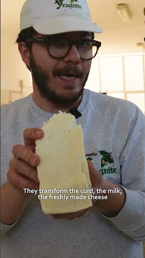 Why fermenting the raw in raw-milk cheese is so important 🧀