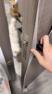 ¡Instala sellos para puertas y ventanas y ahorra energía y dinero al mismo tiempo! #EnergyEfficient #SaveMoney #HomeUpgrade #DoorSeal #tiktok