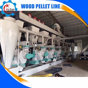 [Hot Item] Large Industrial Used Wood Pellet Machine for Sale